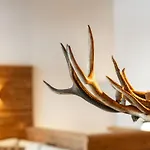 Tauernlodge Eben A2 Шале Эбен (Понгау)