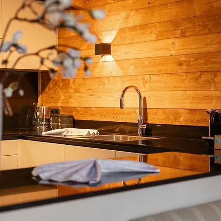 シャレー Tauernlodge Eben A2 エーベン・イム・ポンガウ