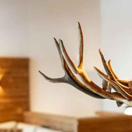 シャレー Tauernlodge Eben A2